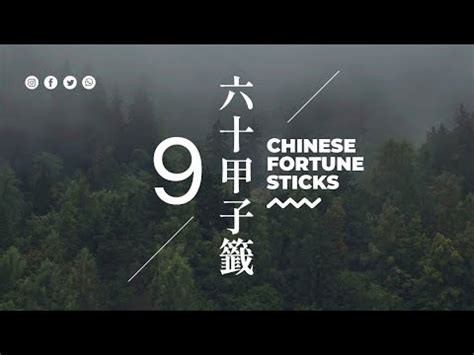 龍虎相隨在深山單身|抽籤問事